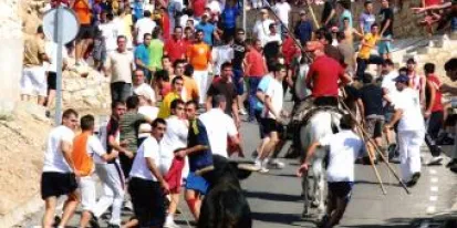 imagen de la noticia El Gobierno de Castilla-La Mancha declara el tradicional encierro de 'La Charcuela' de Uceda como Fiesta de Interés Turístico Regional